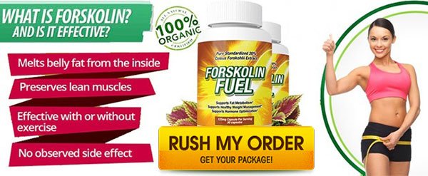 Forskolin Fuel Where to Buy