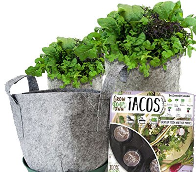 Grow Your Own Tacos Garden Full Kit
