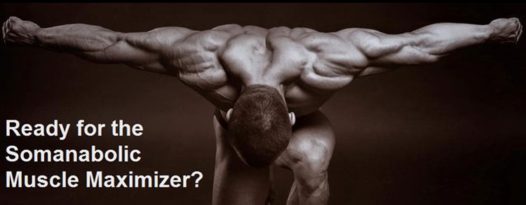 Somanabolic Muscle Maximizer