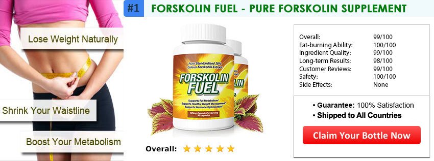 where to buy Forskolin Fuel