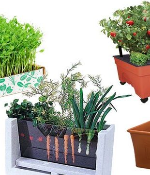 Top 5 Best Veggie Container Kits