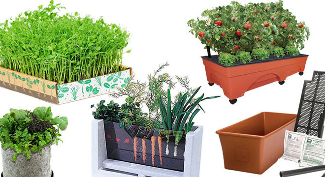 Top 5 Best Veggie Container Kits