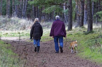 5 Reasons Why Walking is Good for Your Health