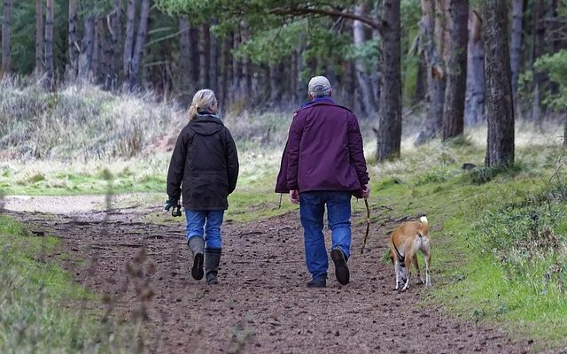 5 Reasons Why Walking is Good for Your Health